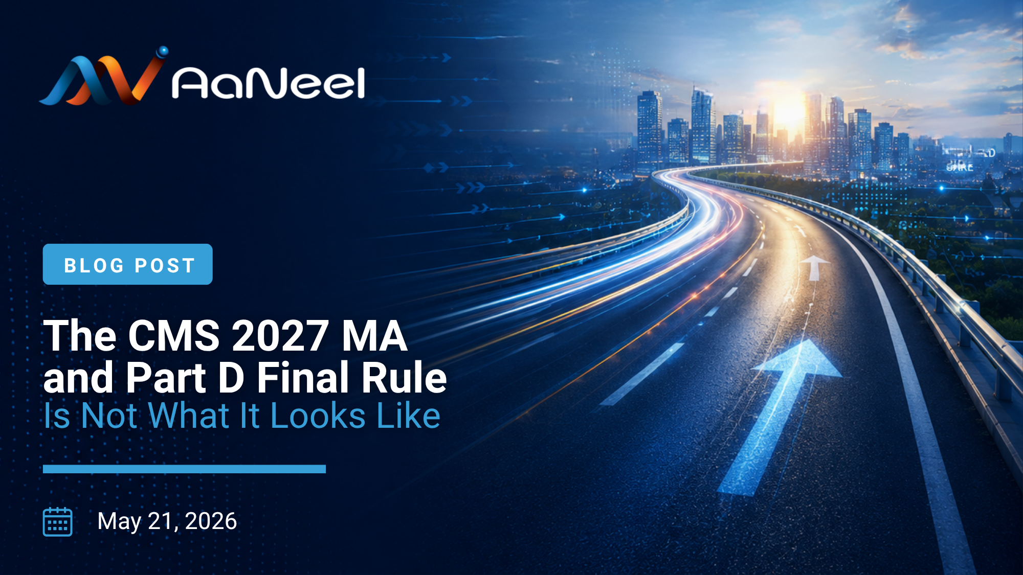 AaNeel Blog: CMS Strategic Roadmap
