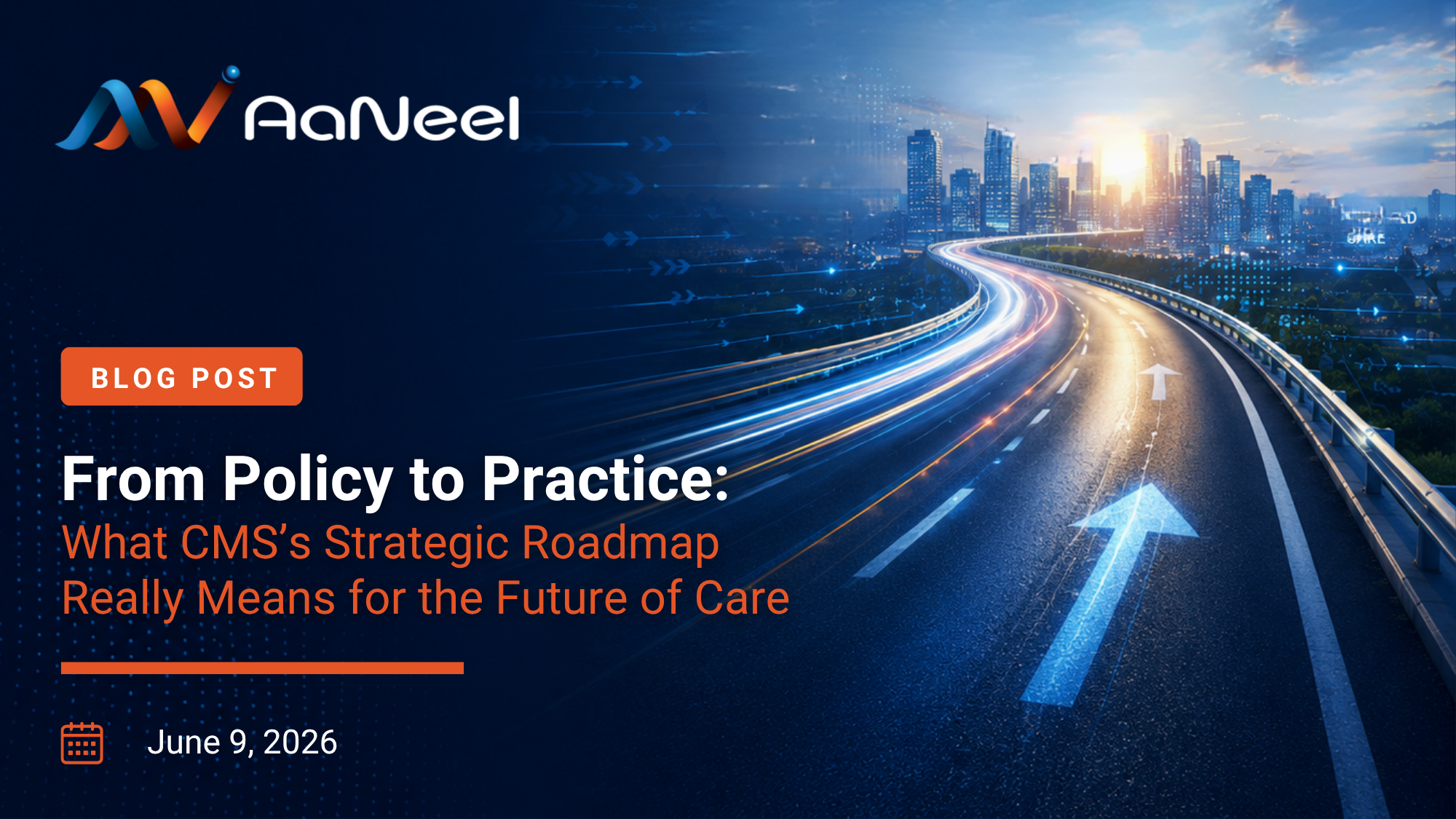 AaNeel Blog: CMS Strategic Roadmap